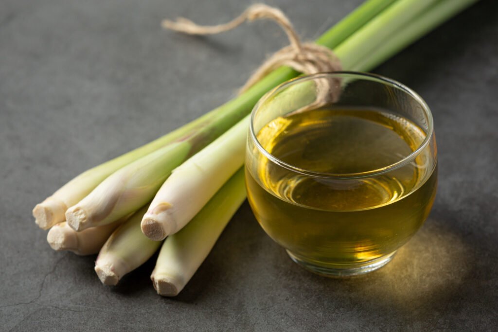 lemongrass-honey-lemon-juice-food-beverage-products-from-lemongrass-extract-food-nutrition-concept